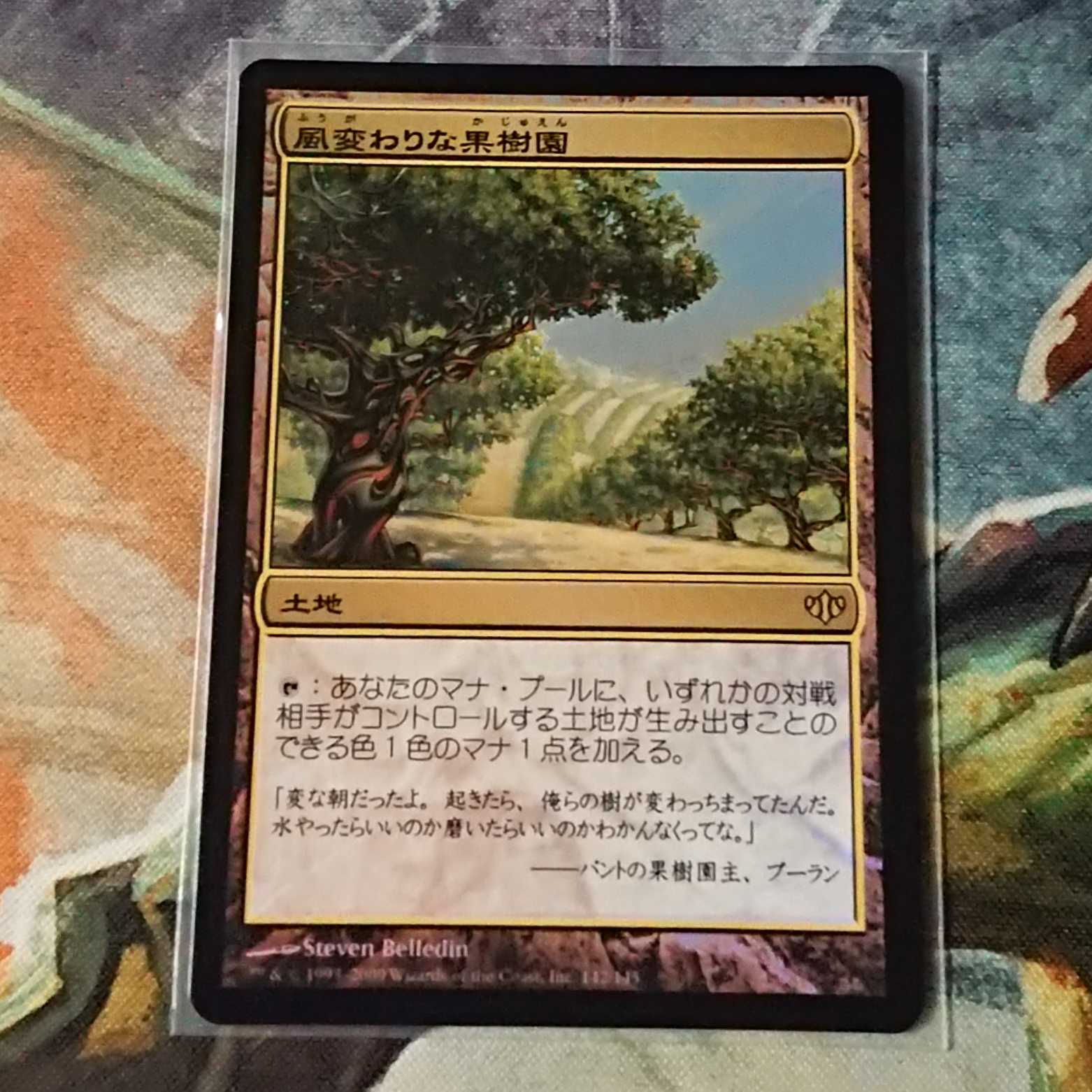 禁忌の果樹園 窪み渓谷 黄昏のぬかるみ 3枚セット FOIL MTG mtg 風変わり