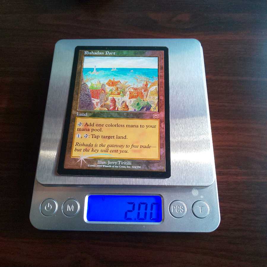 MTG 湿地の干潟 ロシア語foil