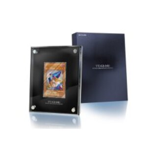 11個セット ケースのみ ブラック・マジシャン ステンレス ケース