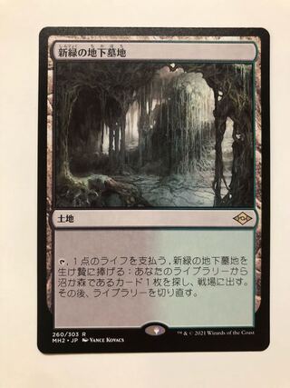 新緑の地下墓地/Verdant Catacombs 英語 Foil EX+](FOIL)新緑の地下