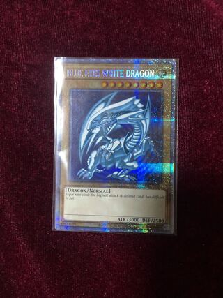 遊戯王 ブルーアイズ・トゥーン・ドラゴン 旧アジア シークレット PSA5