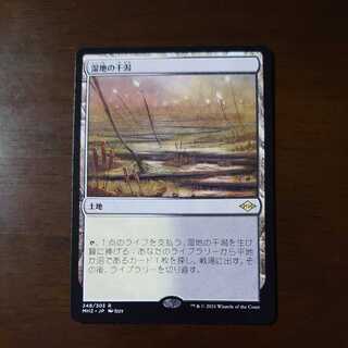 湿地の干潟 日本語 ドラゴンスケイル FOIL MTG 湿地の干潟/ Marsh