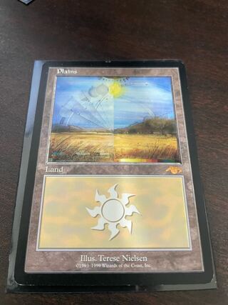 Guruランド グルランド 平地 平地/Plains》[Guruランド] 土地 | 日本