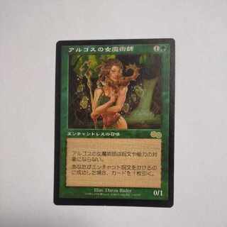 MTG アルゴスの女魔術師 日本語版 サインド 2枚 MTG アルゴスの女