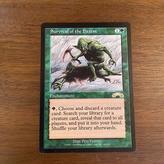 MtG 適者生存【EXO】英語 プレイド MtG 適者生存【EXO】英語 プレイド