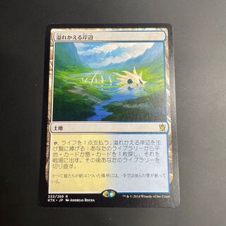mtg 溢れかえる岸辺 4枚 ボーダーレス 日本語 mtg 溢れかえる岸辺 4枚
