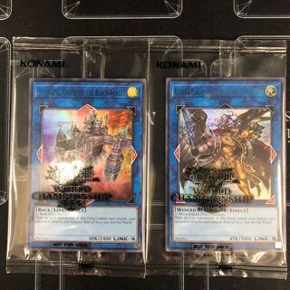 天元の荒鷲王」の激安通販 | magi