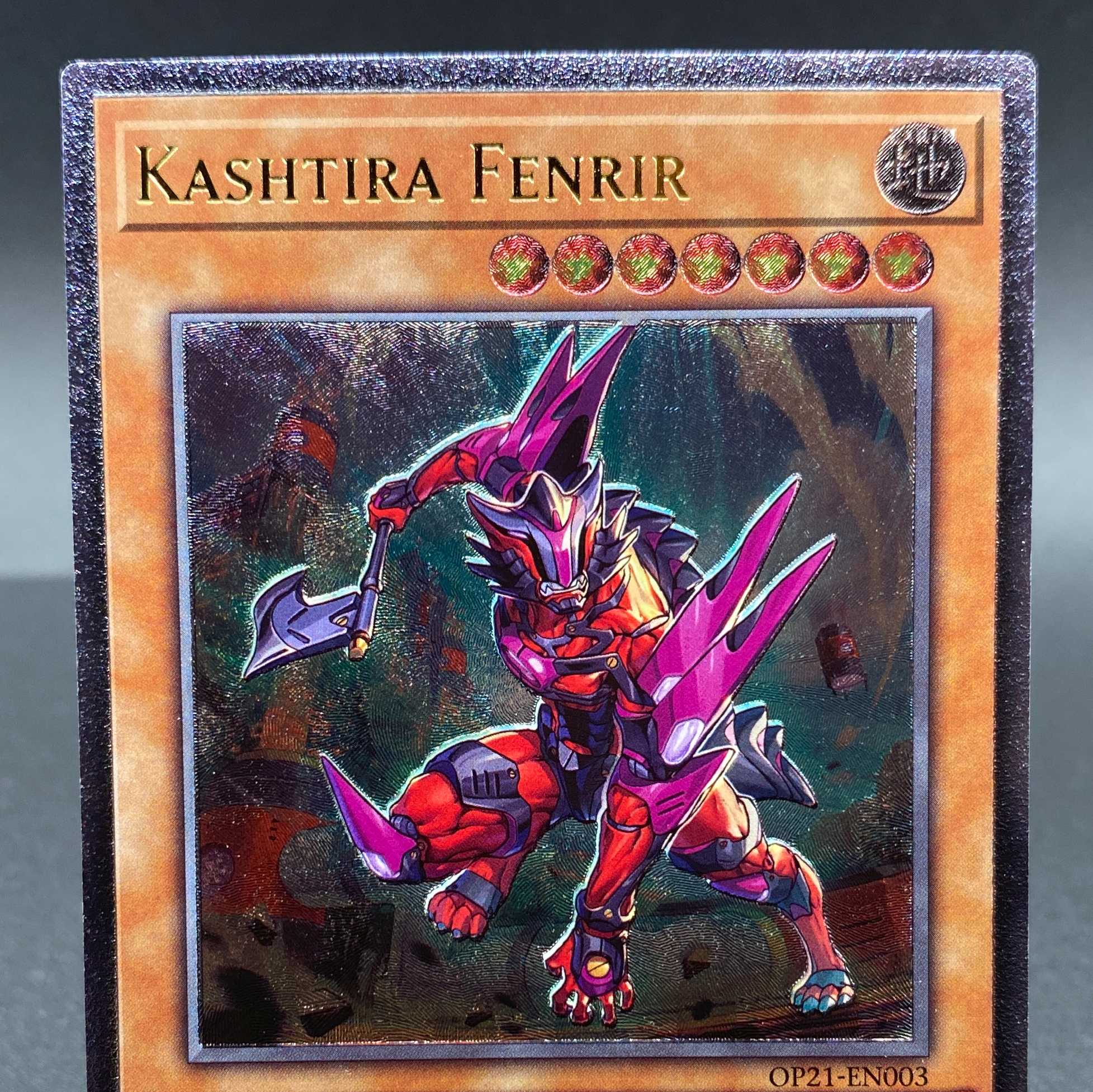 EU版 スキルドレイン レリーフ 深掘り個体 遊戯王 海外 英語 米