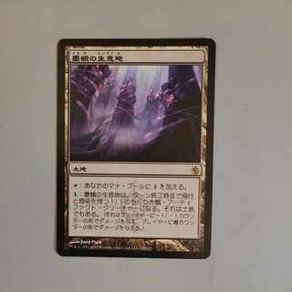 MBS】 墨蛾の生息地（日） 4枚セット 墨蛾の生息地/Inkmoth Nexus MBS