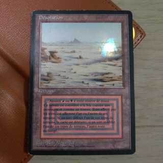 MTG Badlands 黒枠 FBB フランス語 1枚 (Used) （1837333782）| magi