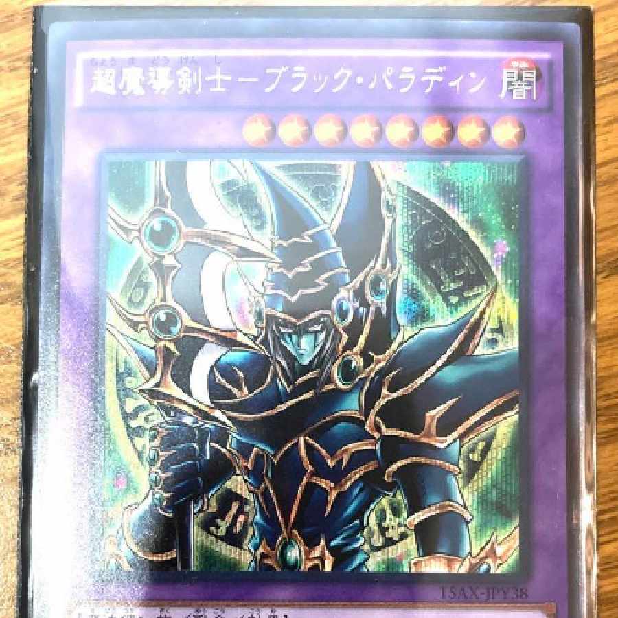 ブラックパラディン レリーフ ブラックパラディン レリーフ psa10