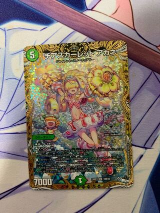 チアスカーレットアカネb