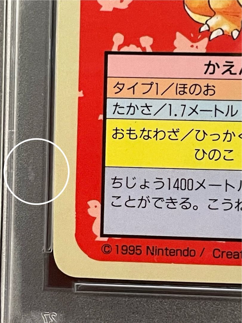 PSA 8 トップサン リザードン【裏面青 No.なし エラー】 1枚の通販