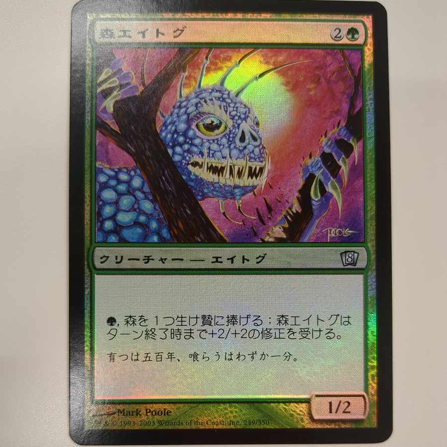 MTG 日本語 foil 森エイトグ 8版