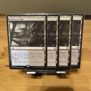 汚染された三角州 ボーダーレス 4枚 英 英)汚染された三角州