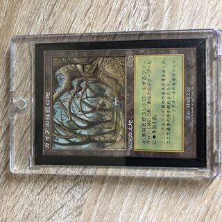 ガイアの揺籃の地 1枚 ガイアの揺籃の地/Gaea's Cradle 日本語