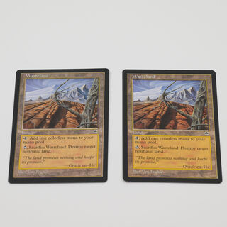 MTG foil 不毛の大地 Waste land 3枚セット MTG 不毛の大地 Wasteland