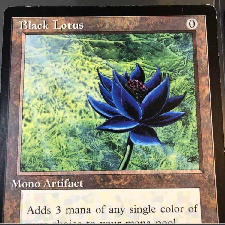 大判カード Black Lotus ブラックロータス scrye MTG 1枚 1枚の通販