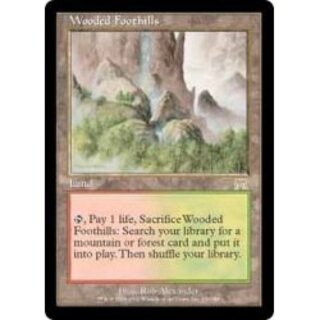 MTG 樹木茂る山麓 foil日本語 エクスペディション ゼンディカー ZNE
