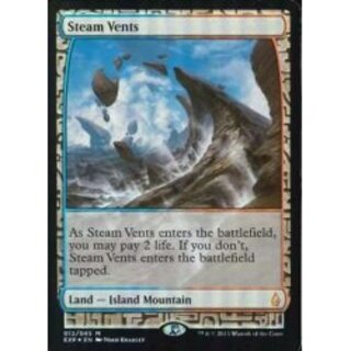 蒸気孔 旧枠foil日本語 ミントモール / MINT GAMES MTG(東日本橋