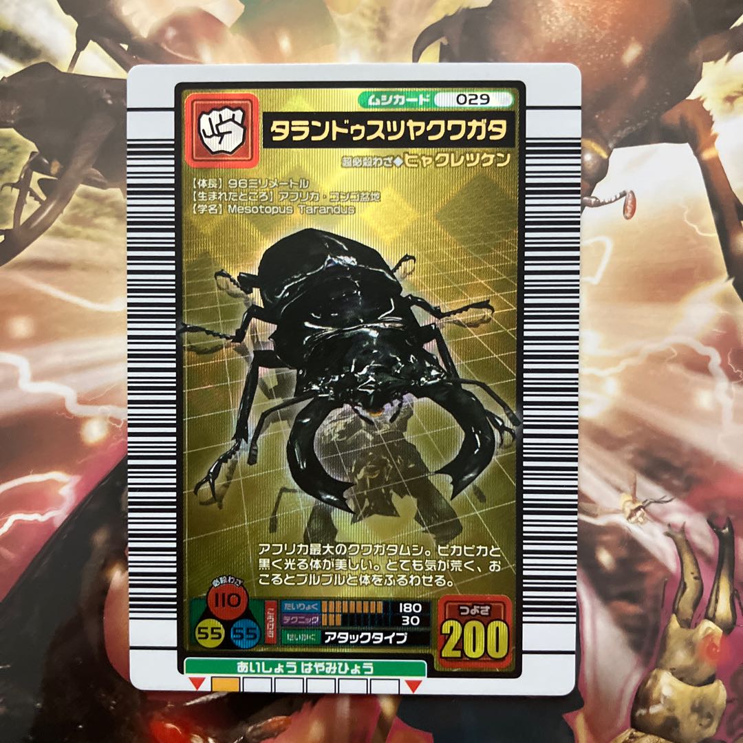 ムシキング 外国語 タランドゥスオオツヤクワガタ ムシキング