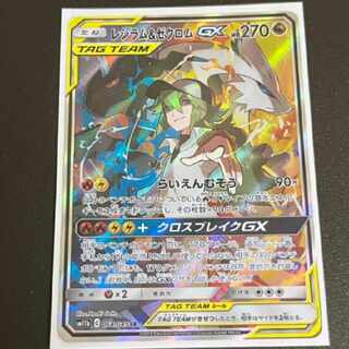 △ ポケモン Nのレシラム コレクタブルアート ポケモン コレクタブル