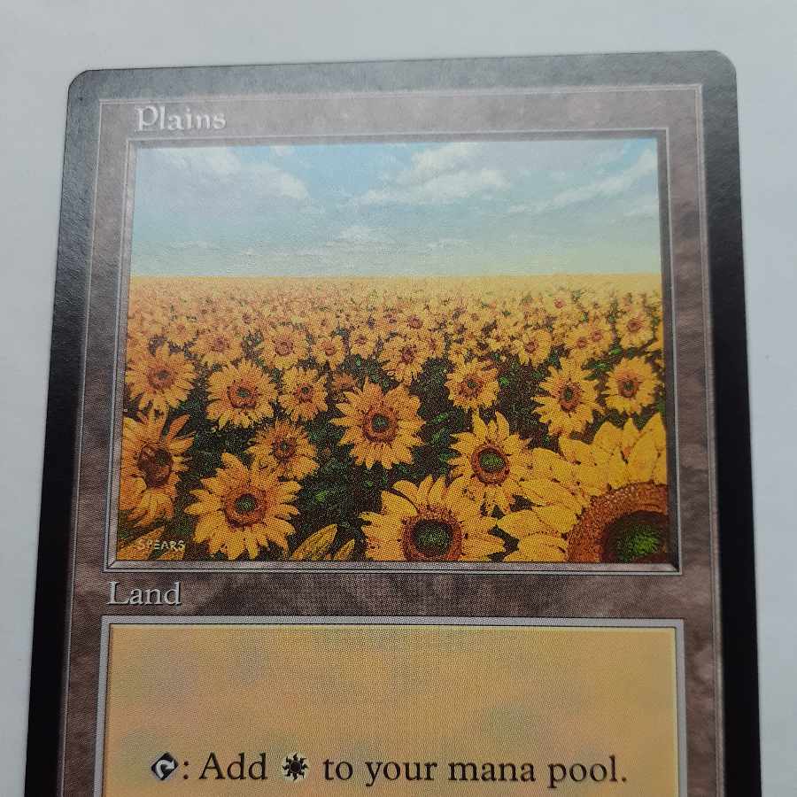 mtg APAC ランド PSA 5種セット (世界に3枚しか無い韓国など) mtg APAC