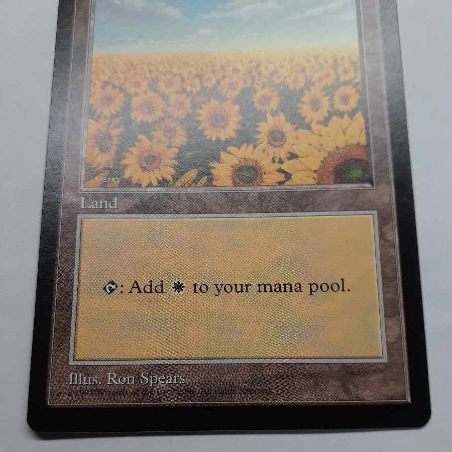 APAC ランド LAND 平地 5枚 MTG APAC Land 5-card set Sunflower