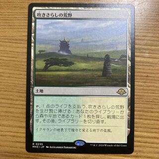 吹きさらしの荒野/Windswept Heath》[KTK] 土地R | 日本最大級 MTG通販