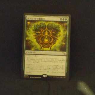 MTG 大ドルイドの魔除け 日拡張 foil3枚セット FOIL)大ドルイドの魔