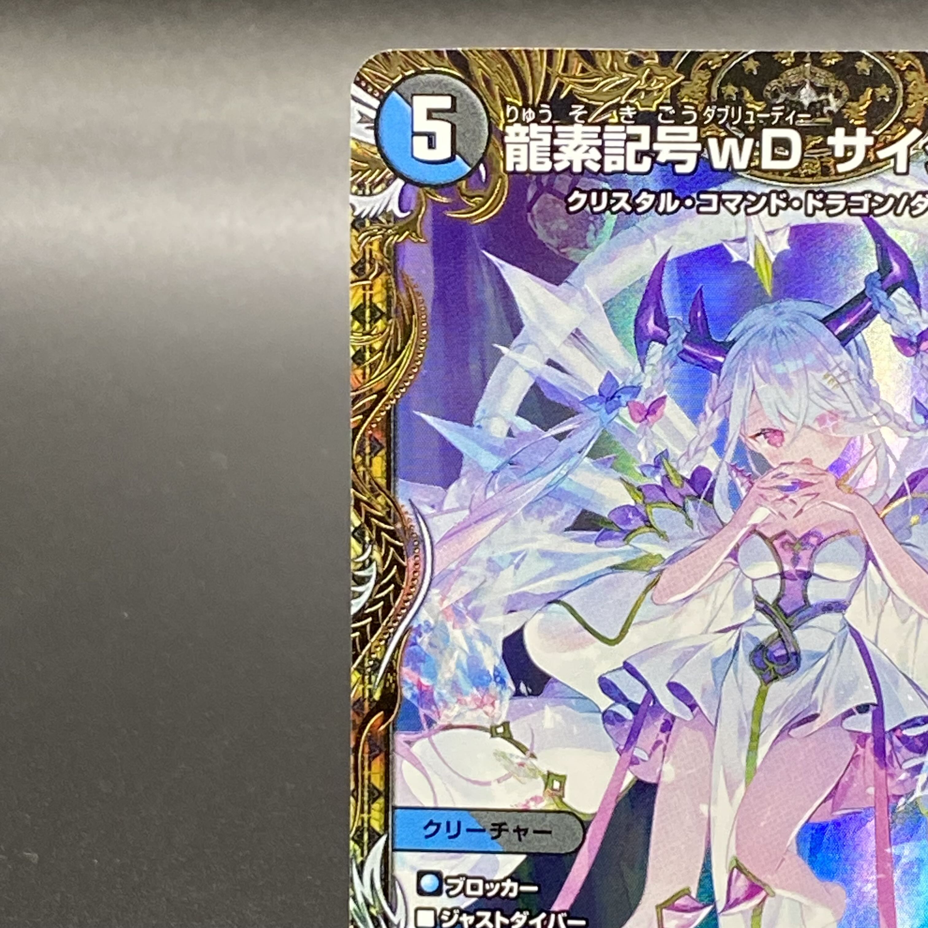 龍素記号W.D. サイクルペディア 金トレジャー 龍素記号wD サイクルぺ