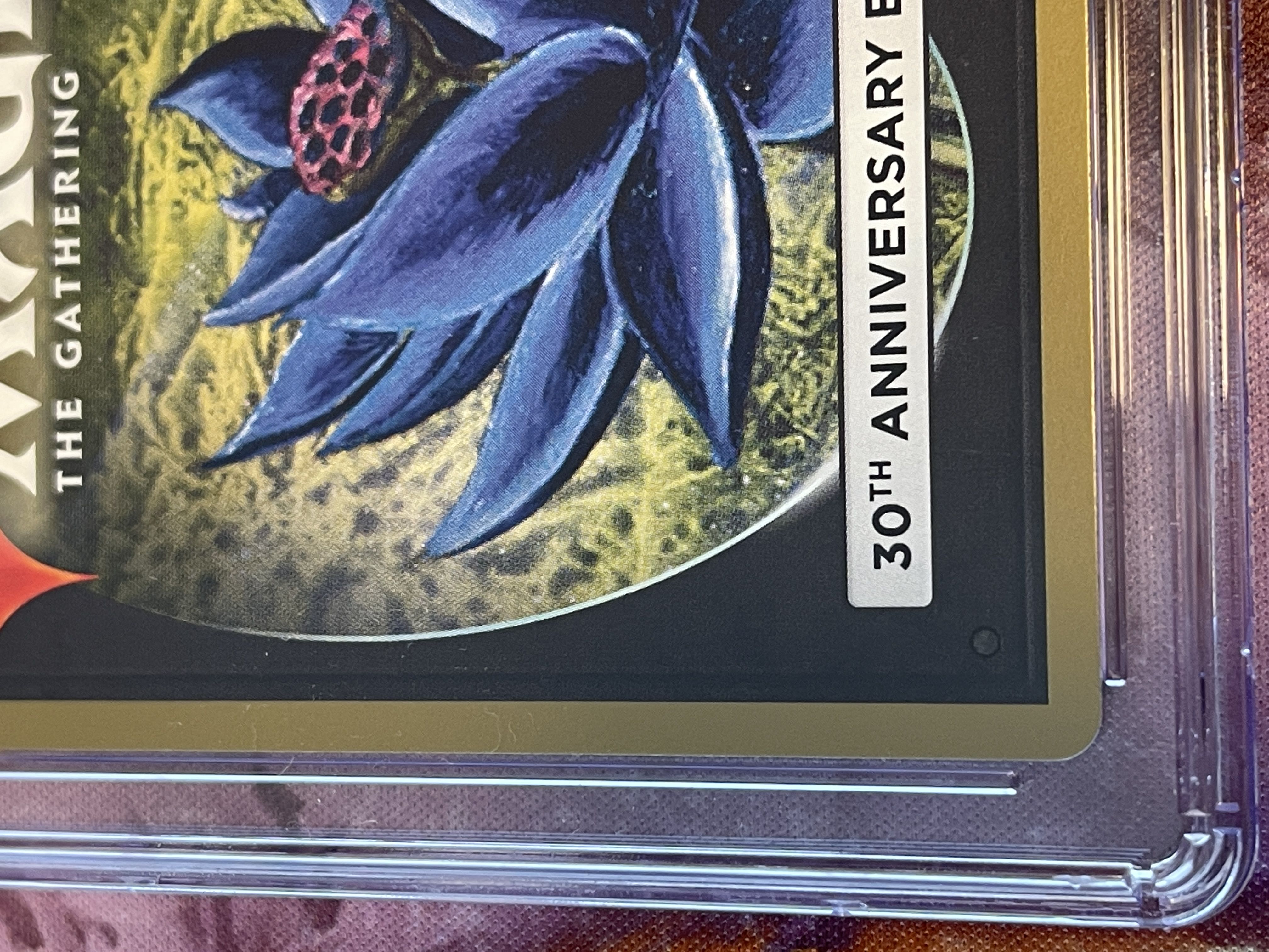 マジック MTG Magic: The Gathering 30th Anniversary Edition 30A