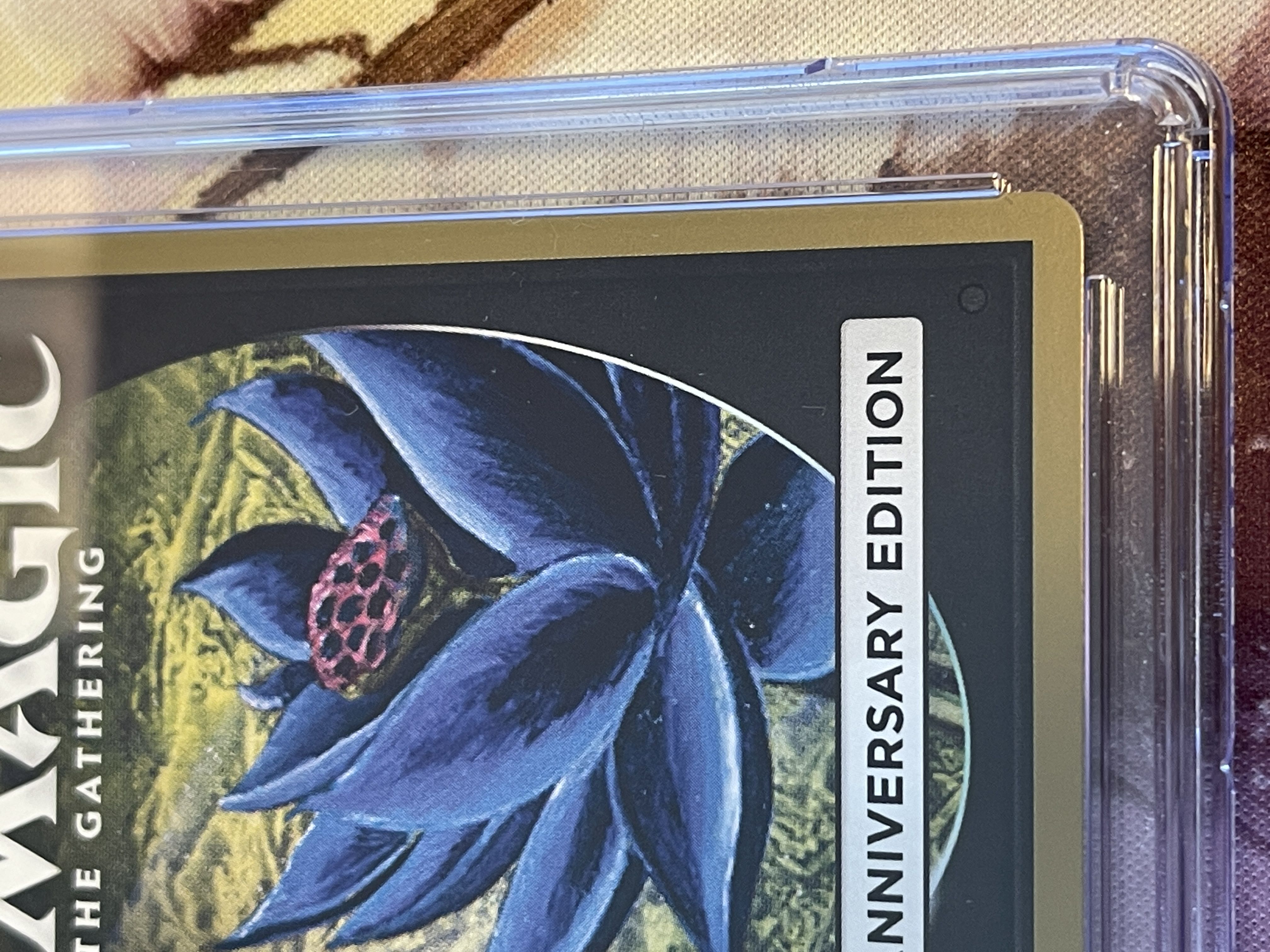 歪んだ秘宝 mtg 30th anniversary edition 旧枠 □旧枠□《歪んだ秘宝