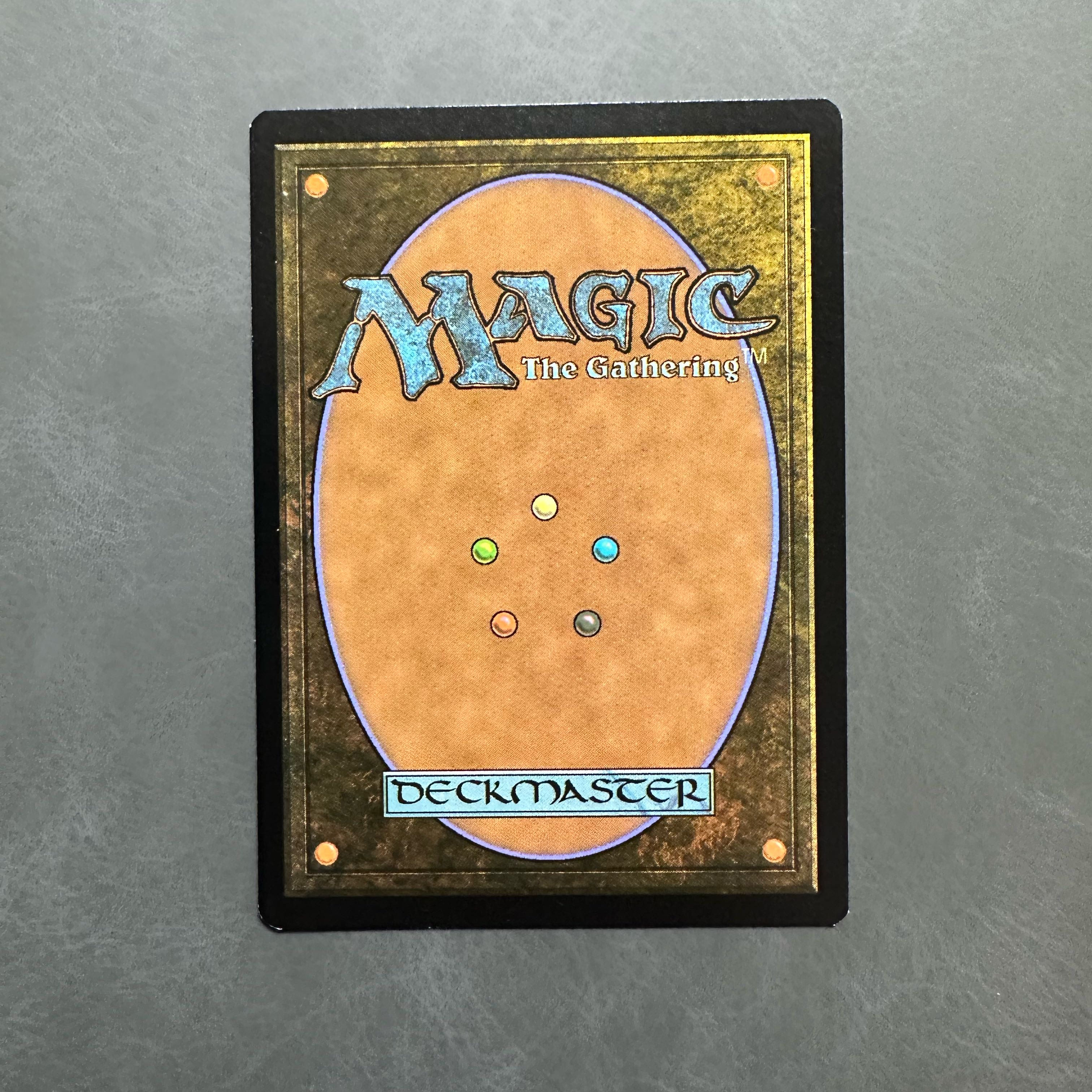 狩りをするヴェロキラプトル/Hunting Velociraptor 英語 拡張枠 REX 1