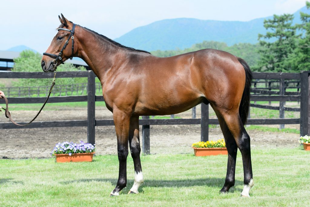 バカラ 走る馬 バカラ 走る馬 バカラ 走る馬 バカラ (Baccarat) | 競走