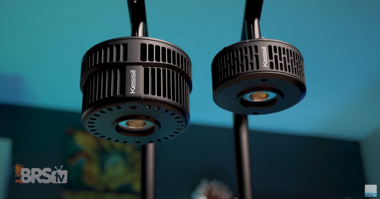 BRStv Product Spotlight - Kessil A500X LED Light - Bulk Reef Supply