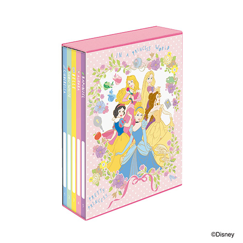 ナカバヤシ ディズニーキャラクター/プリンセス 5冊BOXポケット