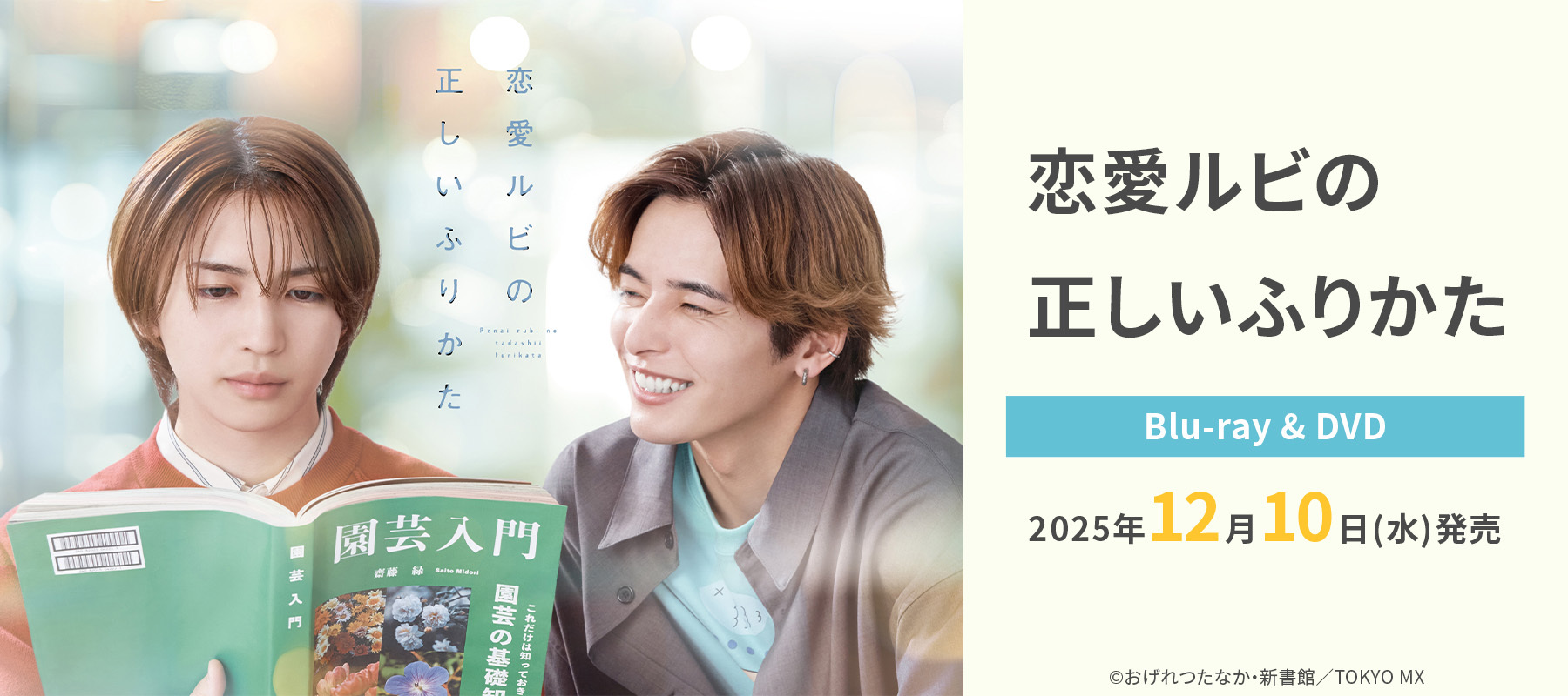 King&Prince 岩橋玄樹 2015年 ハワイオフショット公式写真コンプ