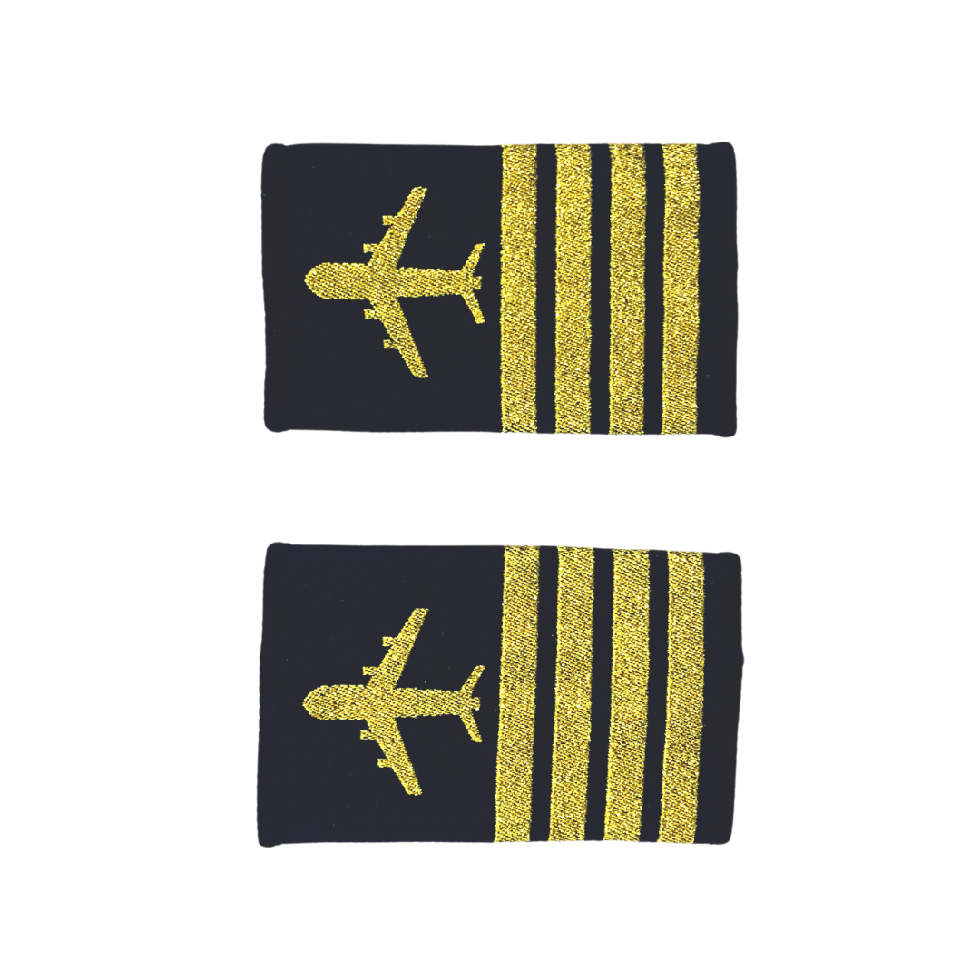 ♦️超美品 企業正規支給品◾️JAL／パイロット ウイングバッジ