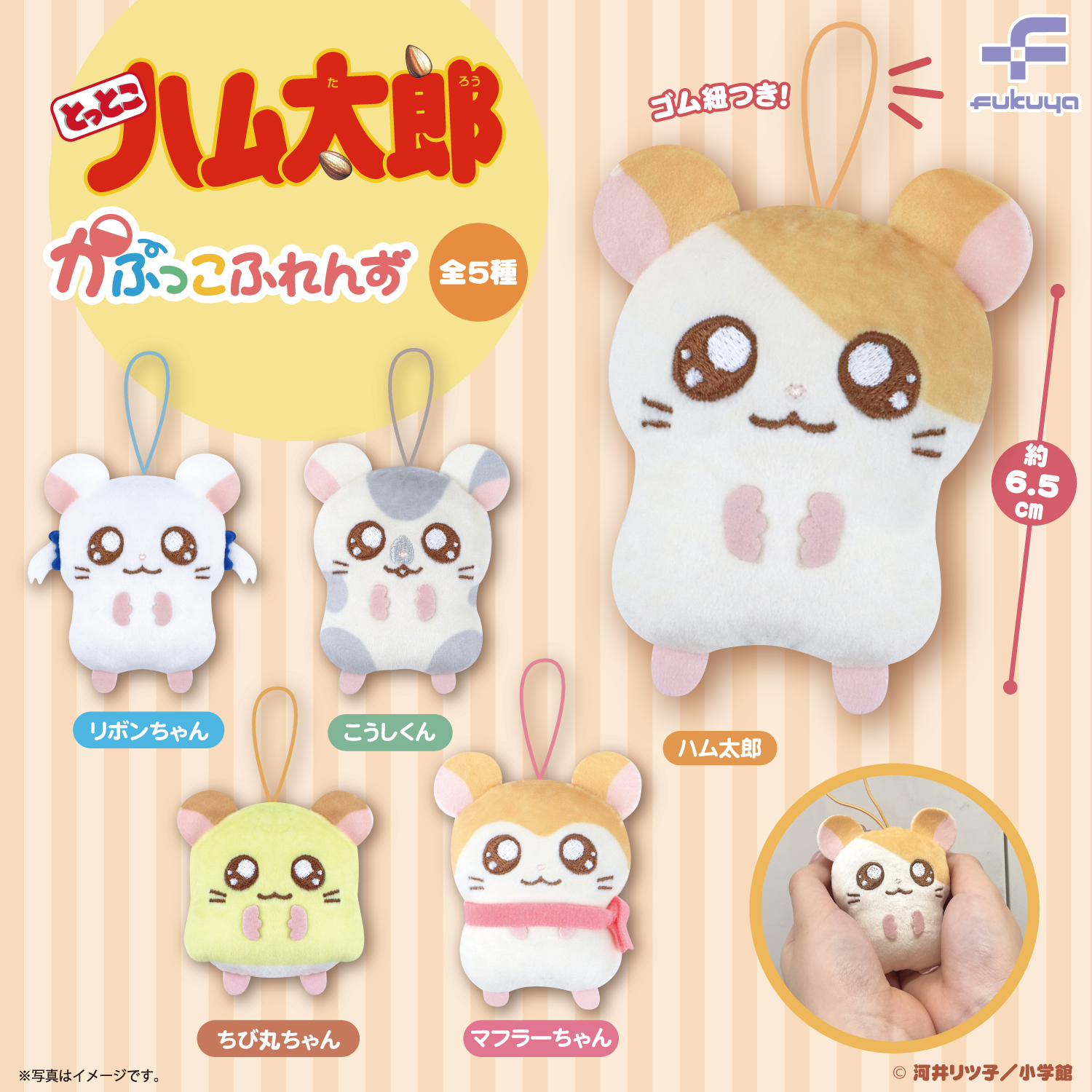 カプセルサイズのおともだち♪ハム太郎たちのかぷっこふれんずが登場