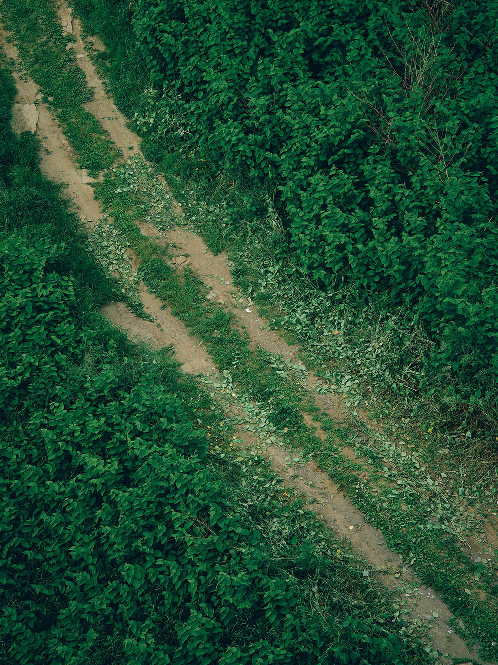 竹之内祐幸 作品展「Warp and Woof」 - SHOOTING（シューティング）