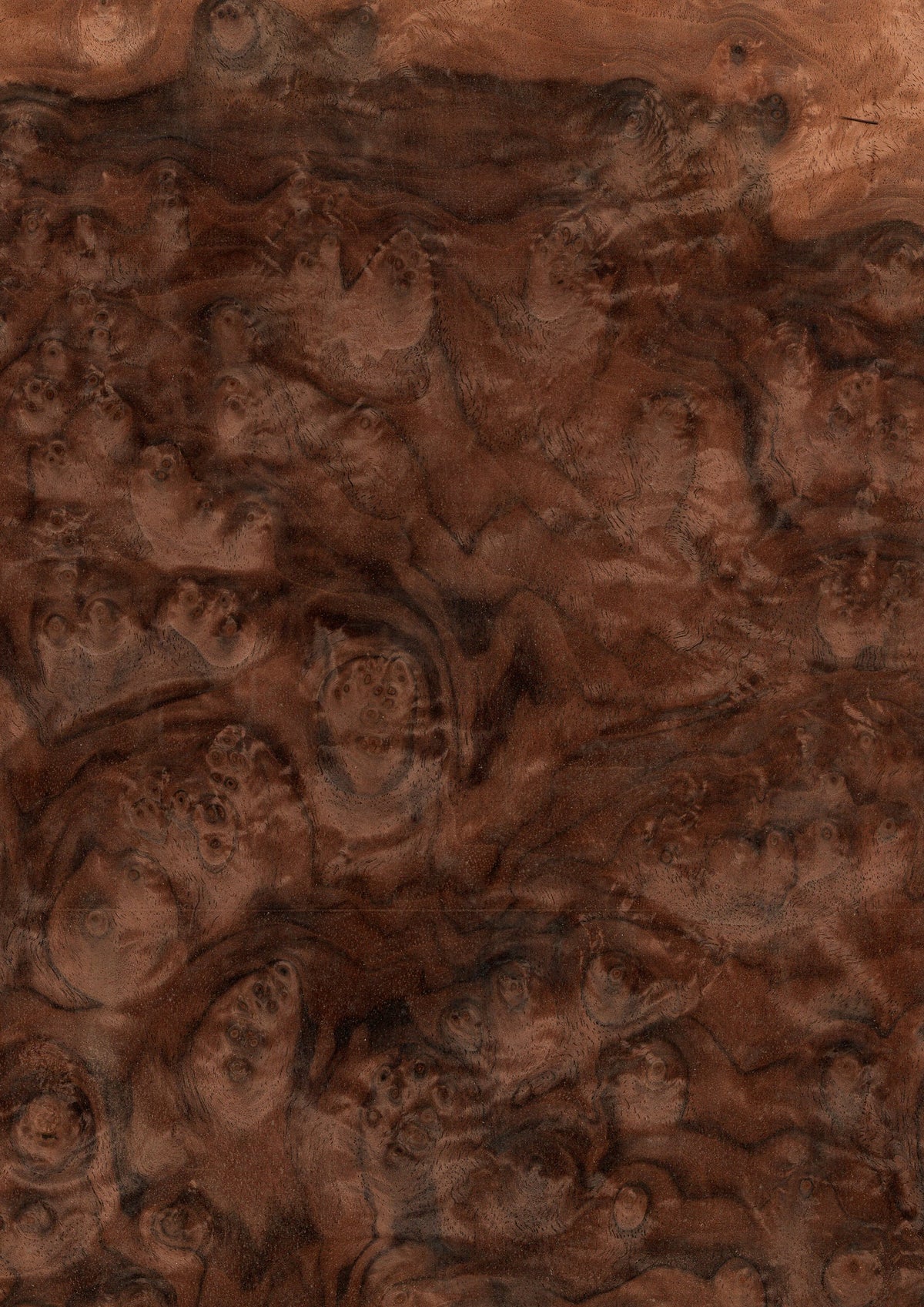 A4サイズ 天然木ツキ板シート｜クラフト・DIY用素材 – MORIKOUGEI