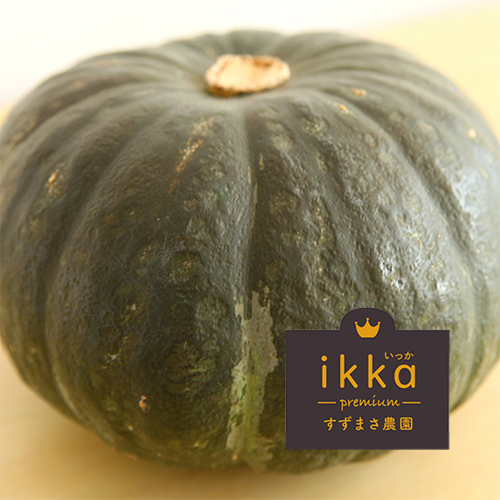 新潟直送計画】新潟県産かぼちゃ ikkaプレミアム – すずまさ農園