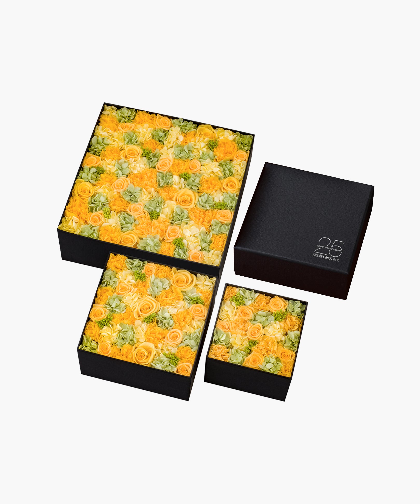 ☆11日24時終了☆ 組み立て式 Maletin Ligero 吉野杉② ☆11