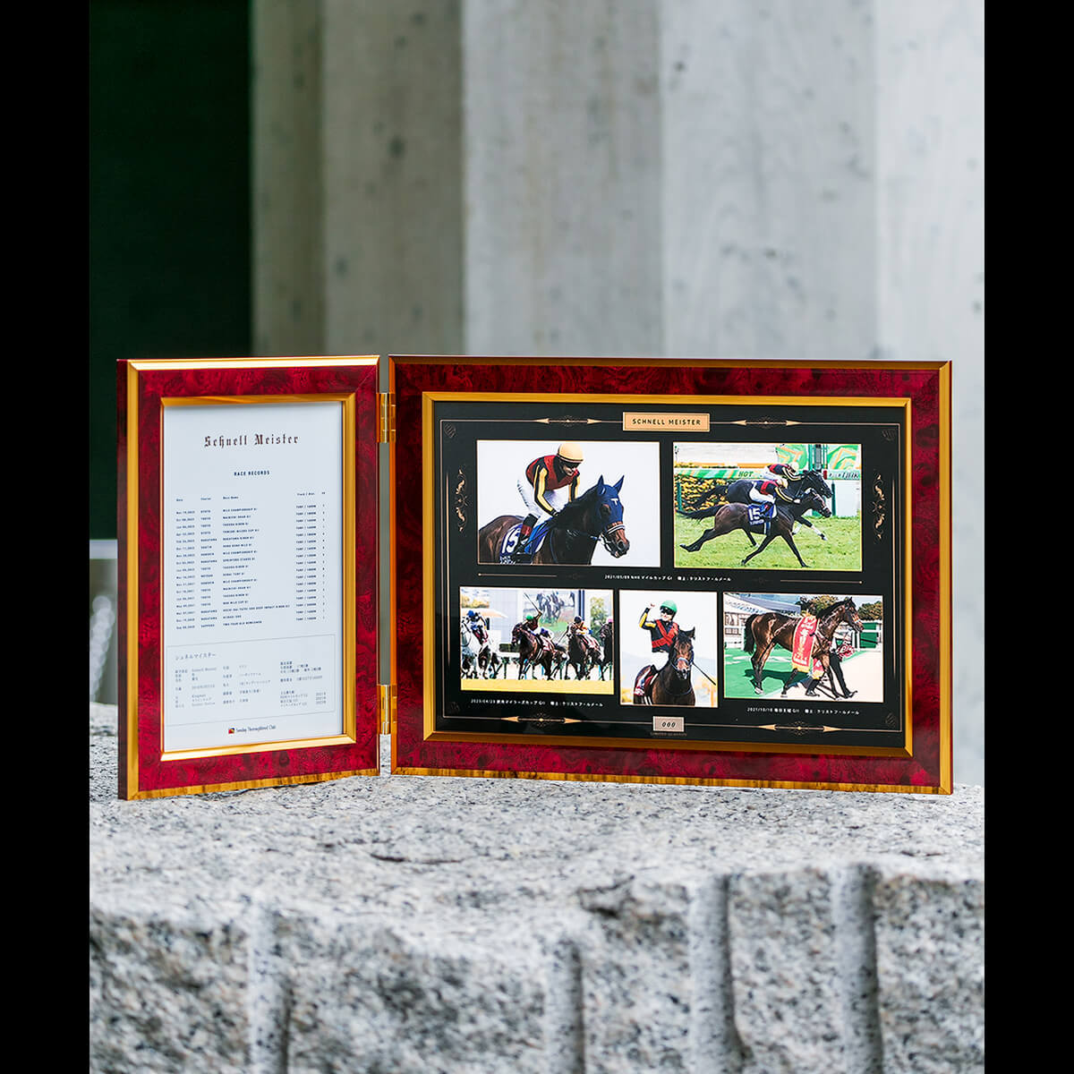 写真デザインパネル シュネルマイスター引退記念 - 競馬グッズの通販