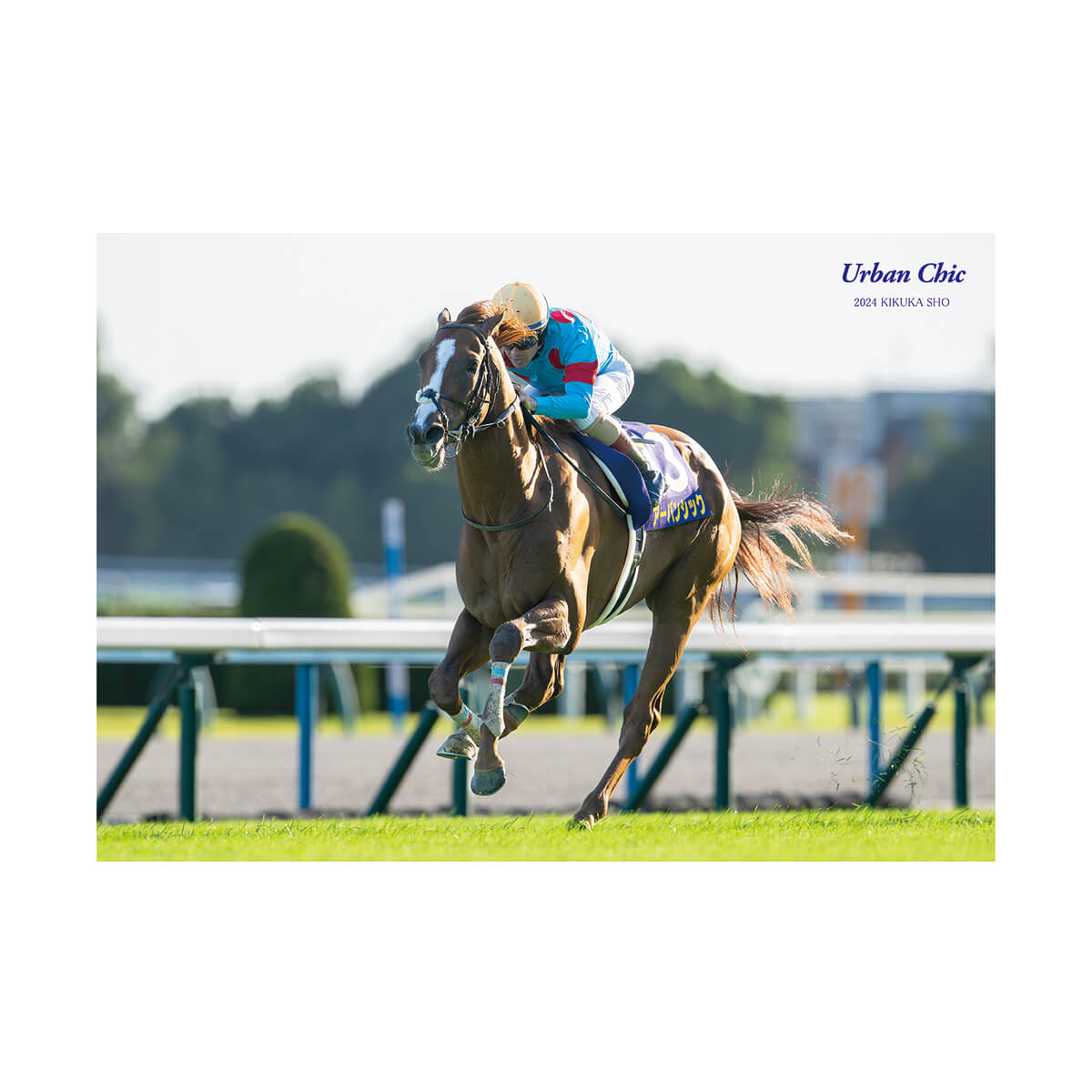 すべての競走馬 - 競馬グッズの通販サイト ノーザンホースパーク