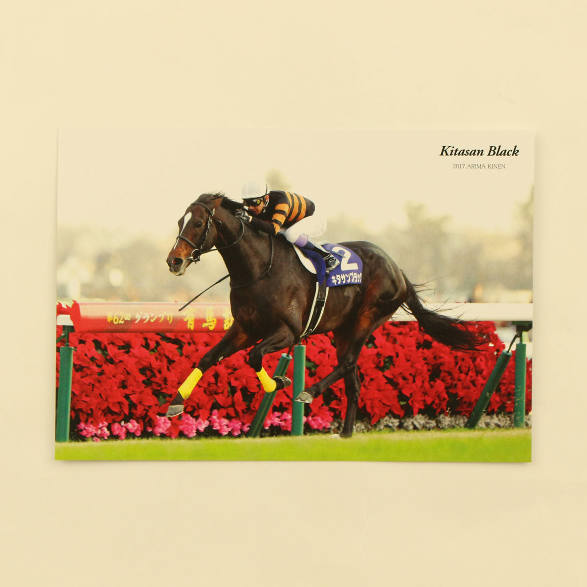 オリジナルポストカード キタサンブラック 有馬記念 - 競馬グッズの