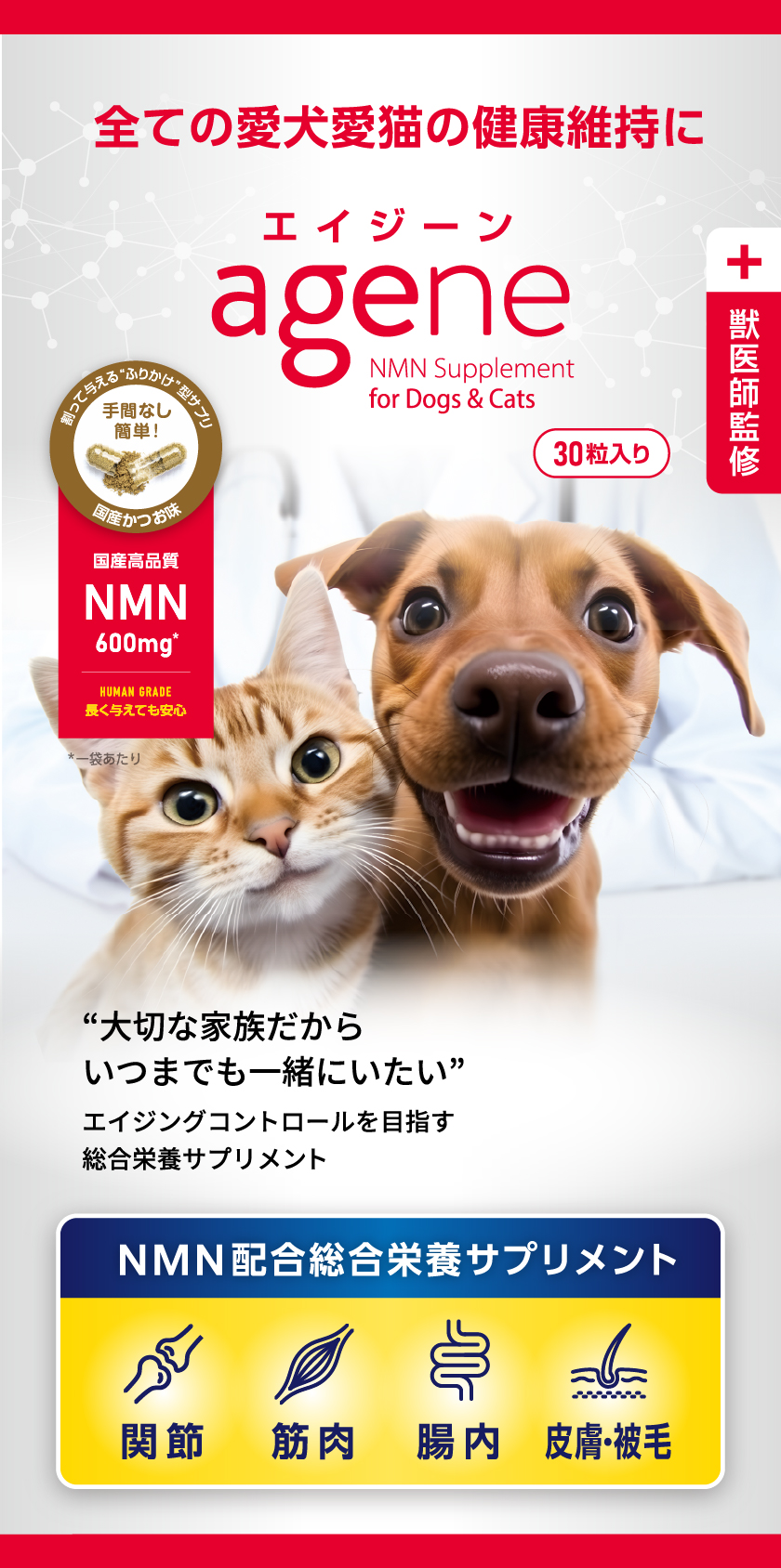 商品詳細ページ