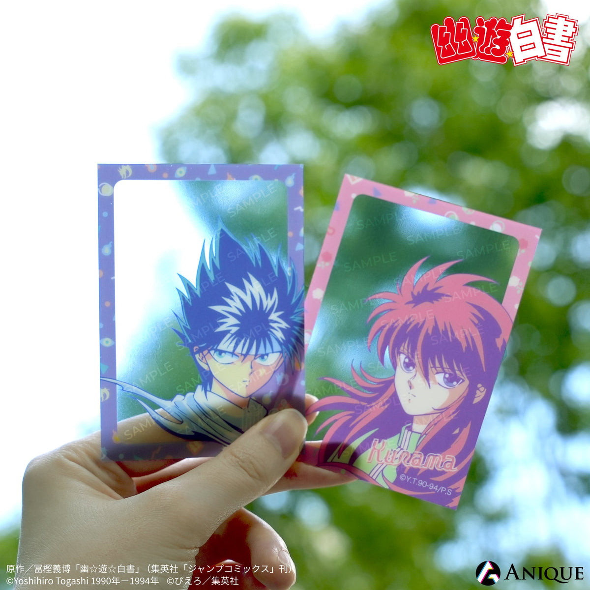 card_5_d7a2b238-4af6-498b-99a2