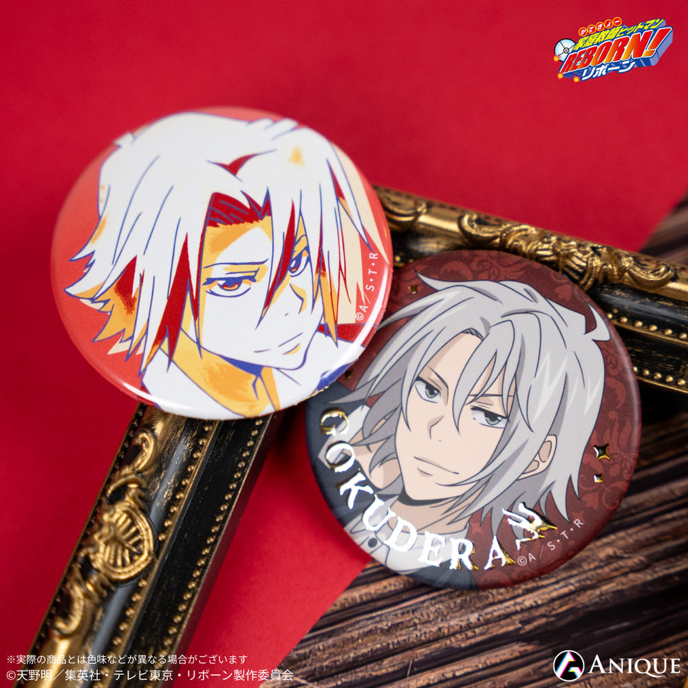 REBORN リボーン 獄寺隼人 アトレ 缶バッジ アクリルバッジ atre 家庭